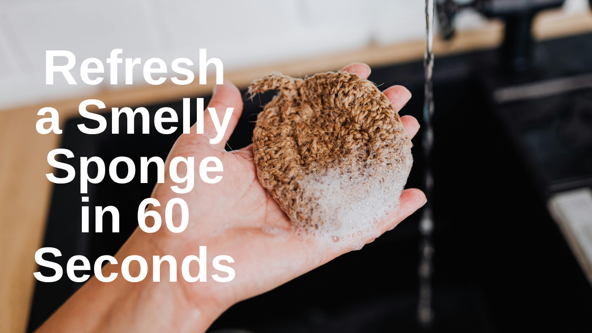HomeShape Hack - Refresh a Smelly Sponge in 60 Seconds